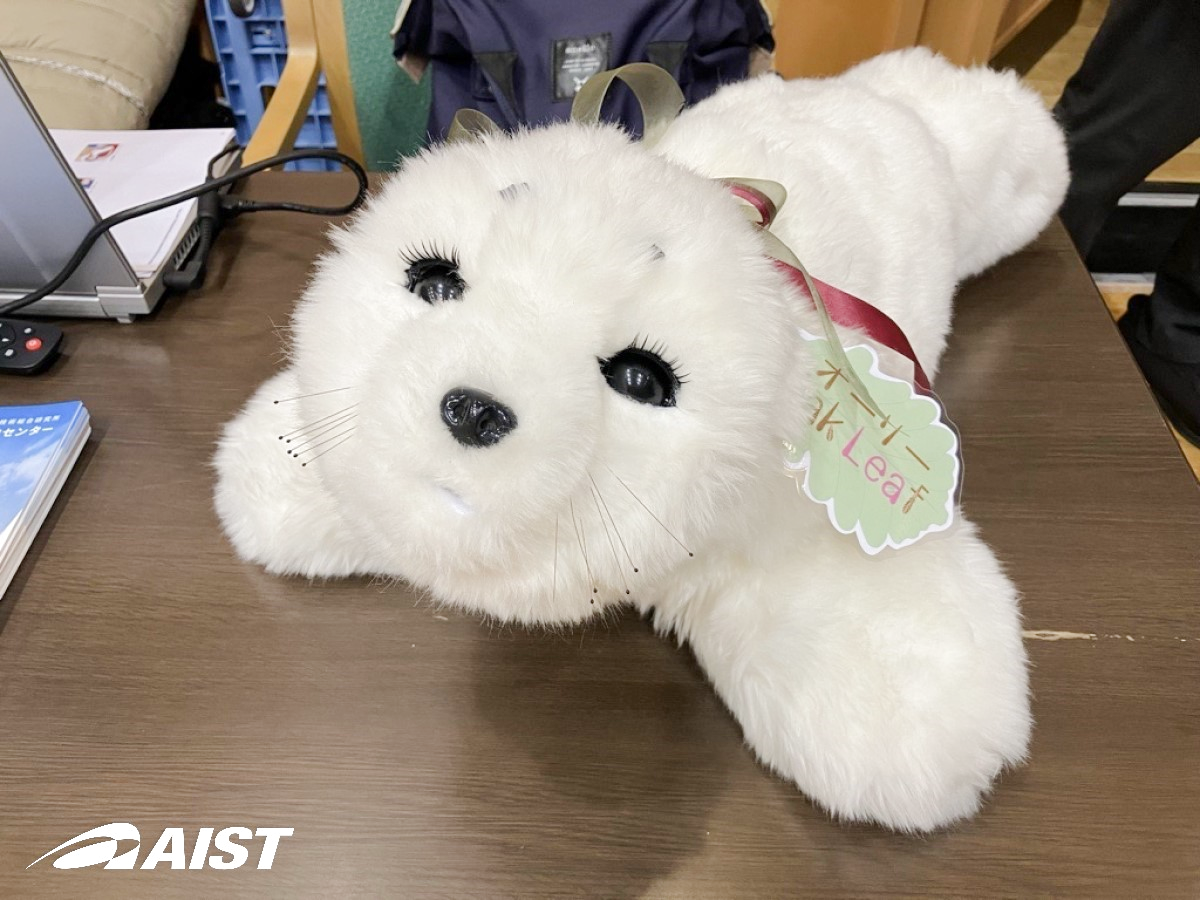 産総研柏センターのパロのオーリー