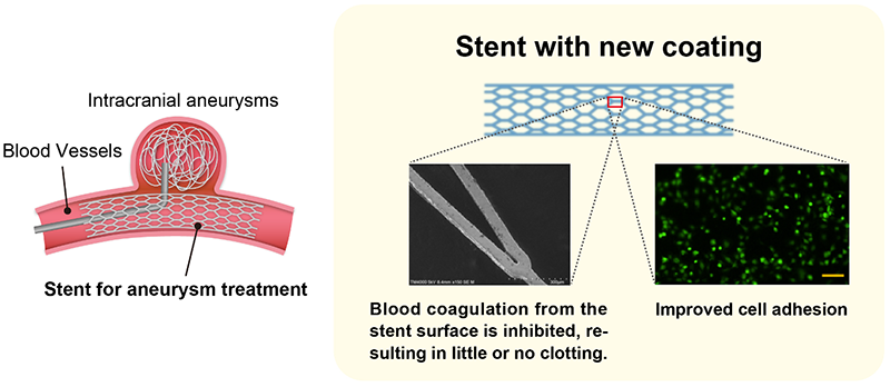 Figure of new research results