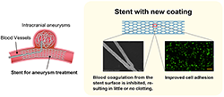 Figure of new research results Life Science and Biotechnology