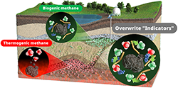 Figure of new research results Geological Survey of Japan