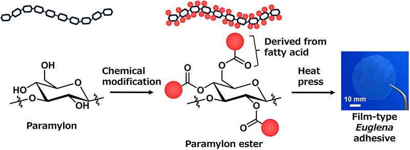 Figure of new research results