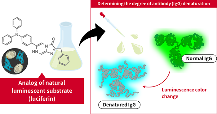 Figure of new research results