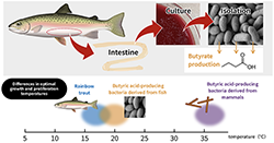 Figure of new research results Life Science and Biotechnology