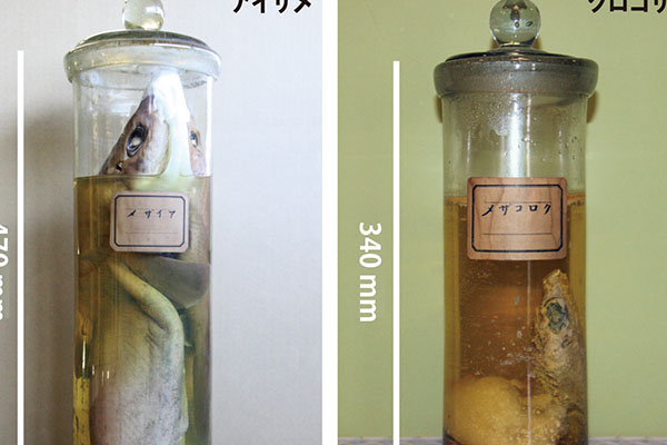 産総研マガジン