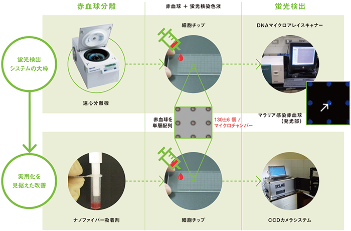 マラリア原虫の検出法の改善