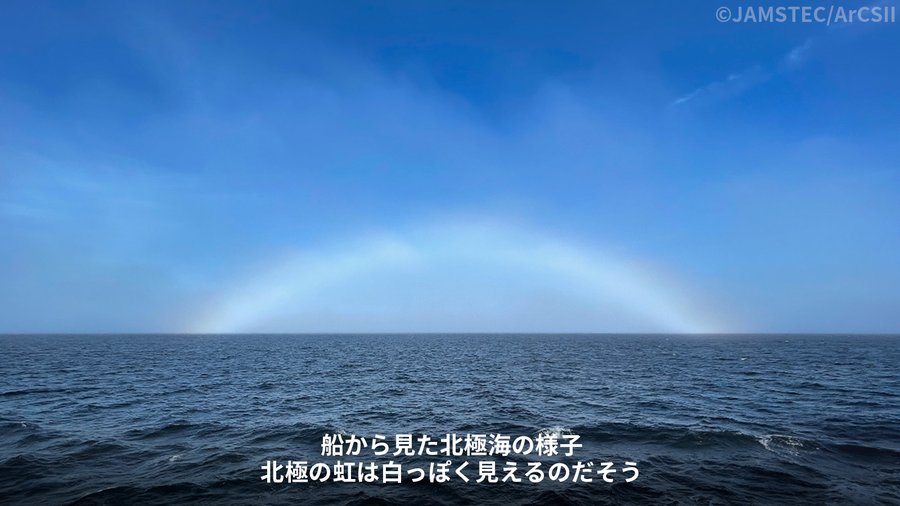 船から見た北極海の様子