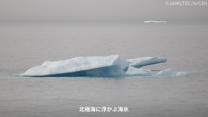 北極に浮かぶ海氷