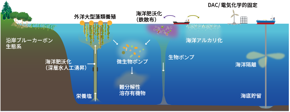 海洋を利用したネガティブエミッション技術の概要図