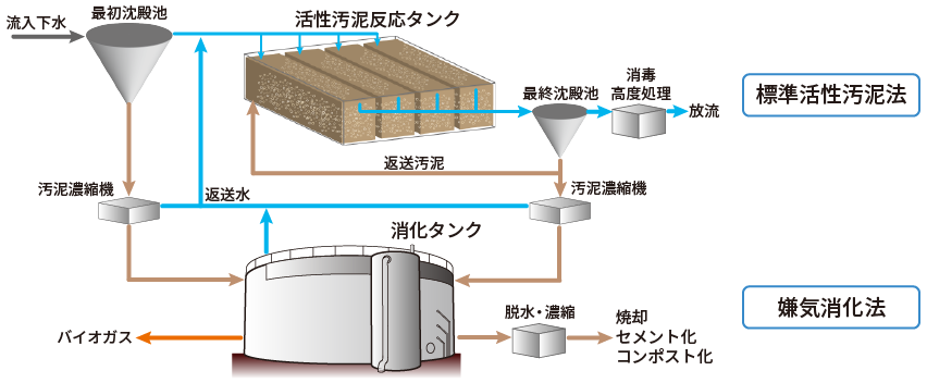 代表的な都市下水処理施設における処理の概略図