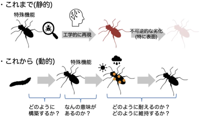 今後のバイオミメティクスの考え方の図