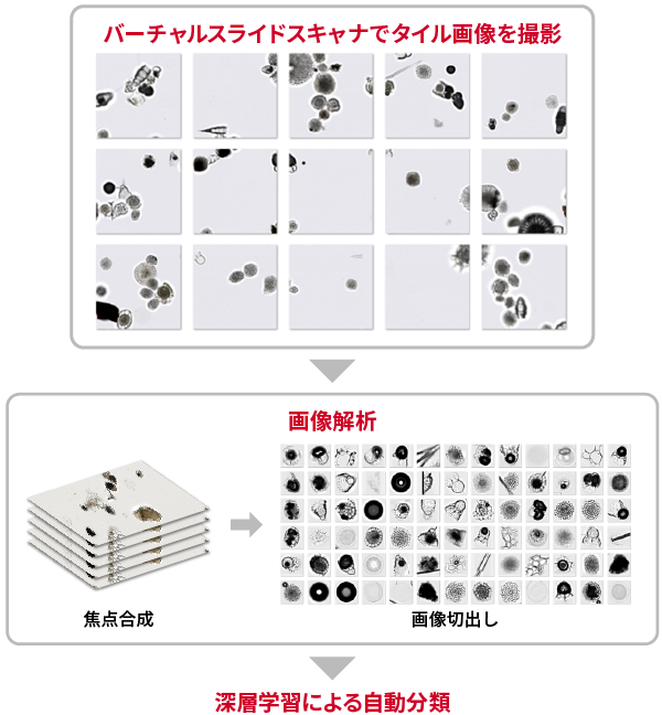 光学顕微鏡画像をデジタルデータとして取得・管理できるシステムの概要図