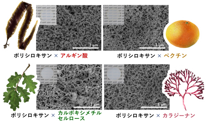 開発した複合エアロゲルの外観と電子顕微鏡写真の図