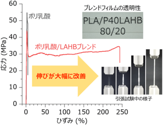 引っ張り試験の結果を表したグラフ