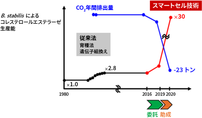 研究開発の経過の図