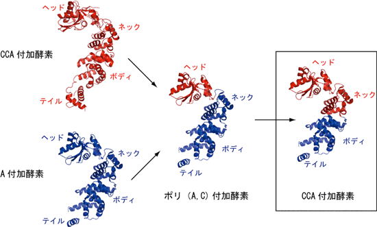 図3