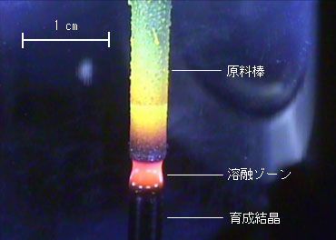 LDFZ法によるビスマスフェライトの単結晶育成の様子の写真