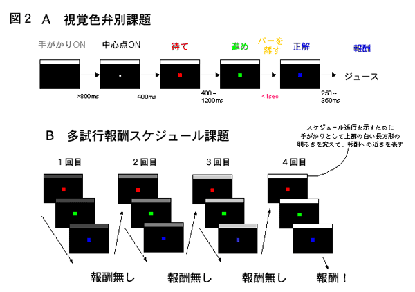 図2　A 視覚色弁別課題　B多試行報酬スケジュール課題　