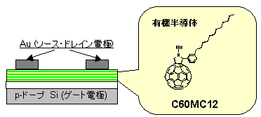 C60MC12-有機TFTとフラーレン誘導体C60MC12の構造図