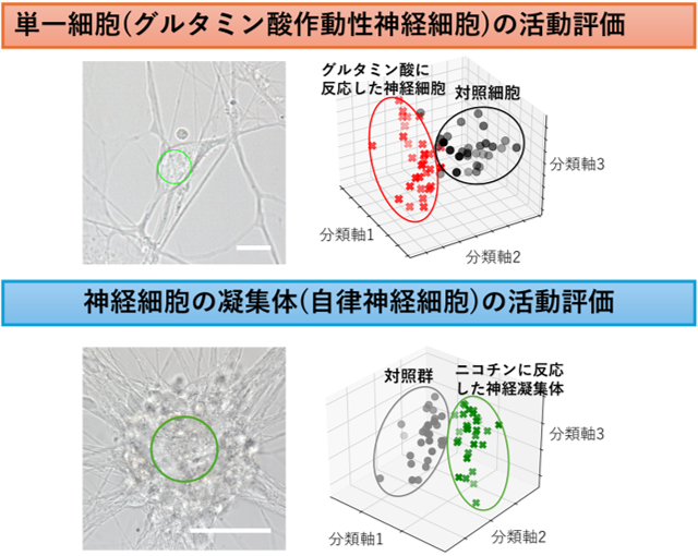 図2