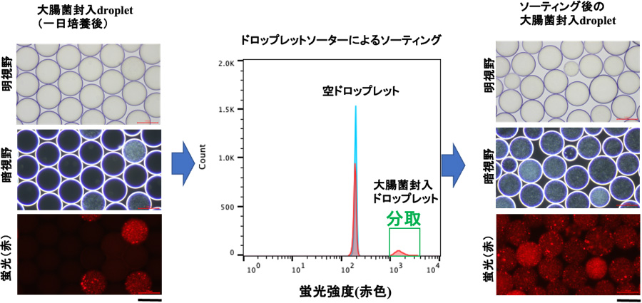 図3