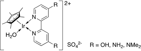 イリジウム錯体触媒説明図