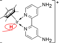 イリジウムヒドリド錯体の構造図
