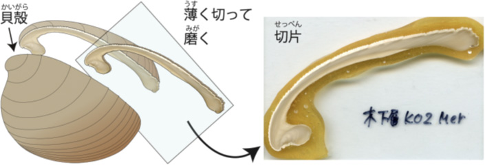 概要図