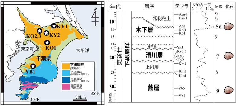 図1