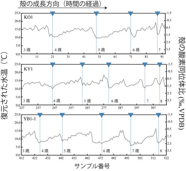 図2