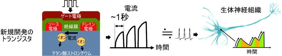 概要図