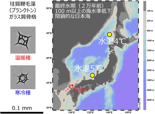 概要図