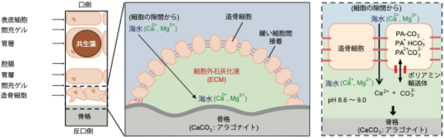 図3