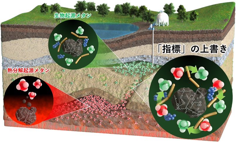 概要図