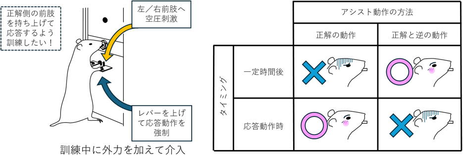 概要図