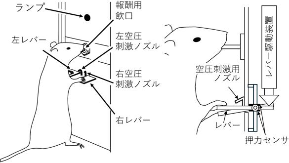 図1