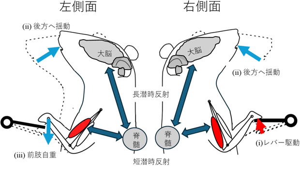 図3