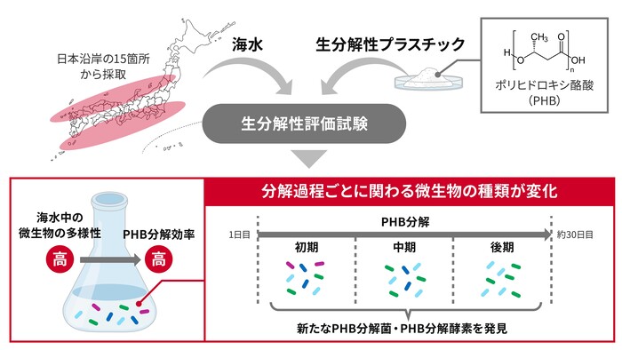 概要図