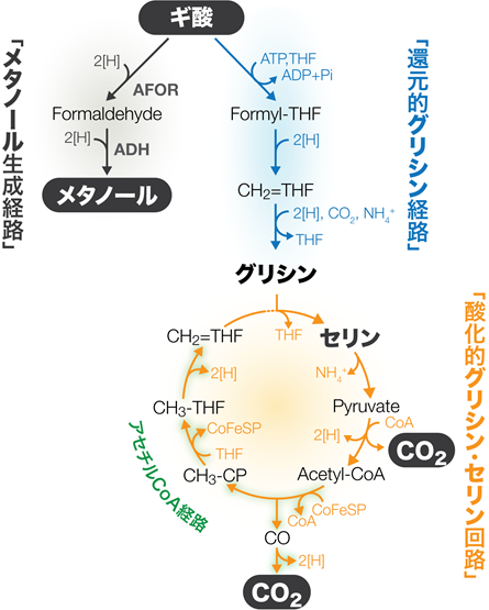 図2