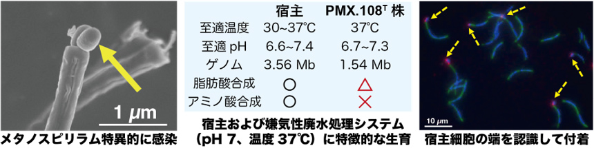 図1