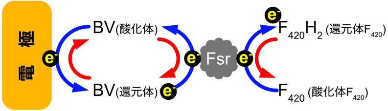 図2