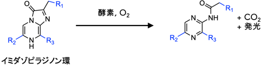 イミダゾピラジノン環説明図