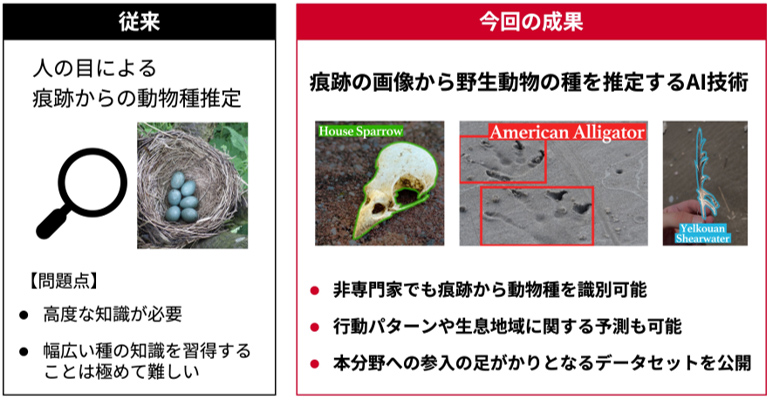 概要図